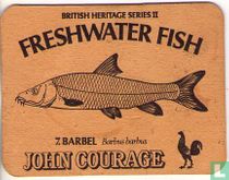 Freshwater Fish 7. Barbel