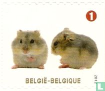 Gezelschapsdieren