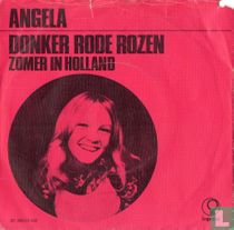 Donker rode rozen