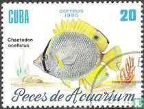 Aquariumvissen