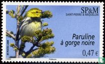 Black-throated green Warbler
