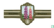 05 Blumen (Willem II) zigarrenbänder katalog