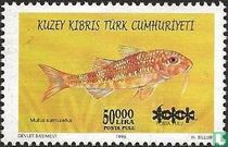 Fisch, mit Aufdruck kaufen
