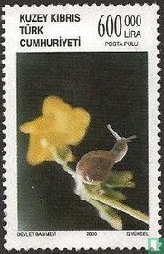 Flora and fauna  