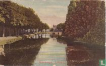 Morschsingel