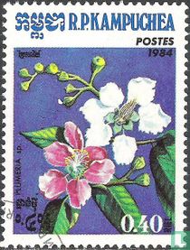 Fleurs acheter