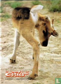 Artis 5