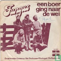 Een boer ging naar de wei