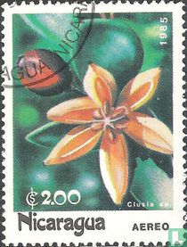 Fleurs tropicales acheter