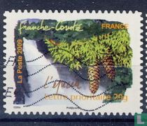 Flora regions south