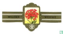 05 Blumen (Willem II, große dünne Zahlen) zigarrenbänder katalog