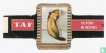 [Polecat] for sale