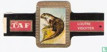 [Otter] for sale