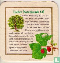 Licher Naturkunde (4) Privatbrauerei