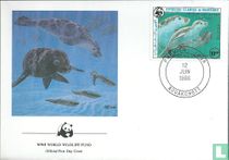 Phoque moine-WWF