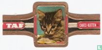 Cats SS (Taf, variant) cigar labels catalogue