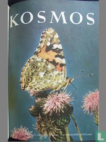 Kosmos 9