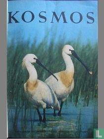 Kosmos 1