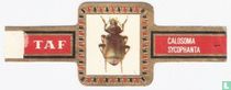 Beetles (Taf) cigar labels catalogue