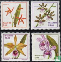 Espamer, Orchideen