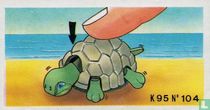 Tortue