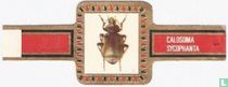 Beetles (without brand) cigar labels catalogue