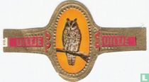Dwergooruil