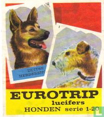 Honden