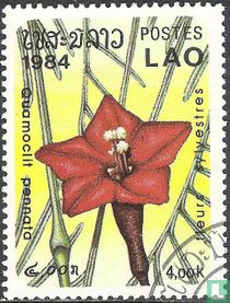 wilde Blumen kaufen