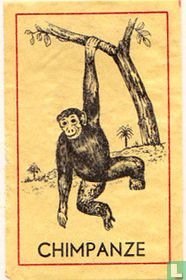 Chimpanze