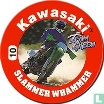 Kawasaki caps and pogs catalogue