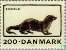 Loutre d'Europe acheter