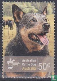 Dogs