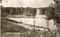 Vijver Berg en Bos