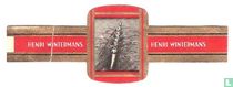 Aviron