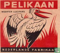 Pelikaan