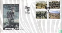 Hartmann's mountain zebra