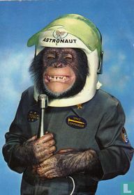 Aap, astronaut, zanger (Kruger)