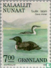 Plongeon huard acheter