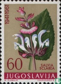 Fleurs