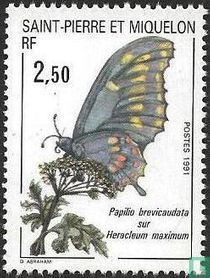 Insekten und Pflanzen kaufen