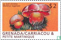 Champignons  