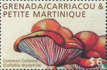 Champignons  