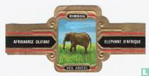 Rimbou 11 Wild animals cigar labels catalogue