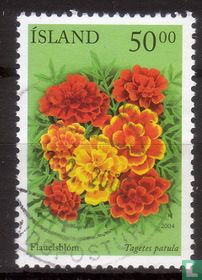 Blumen