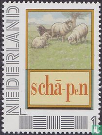 Reading board - Sheep