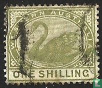 Swan