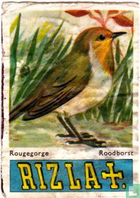 Roodborst
