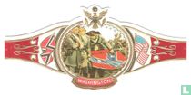 Veteranen van Generaal Lee rollen mistroostig hun vlag op