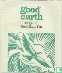 Cool Mint Tea